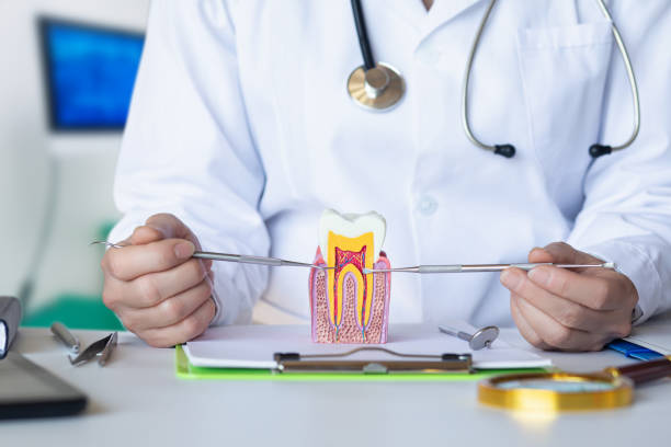 Best Weekend Emergency Dental Services in Buchanan, MI