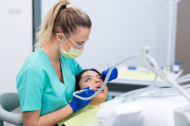Best Emergency X-Rays and Diagnostics in Buchanan, MI